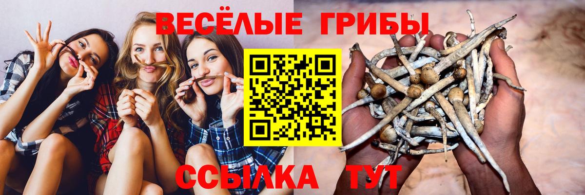 Галлюциногенные грибы Cubensis Алапаевск