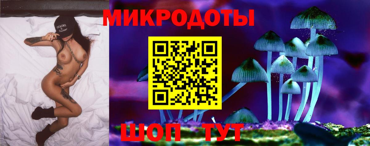 Галлюциногенные грибы GOLDEN TEACHER  купить наркотик  Алапаевск  Вход с VPN 
